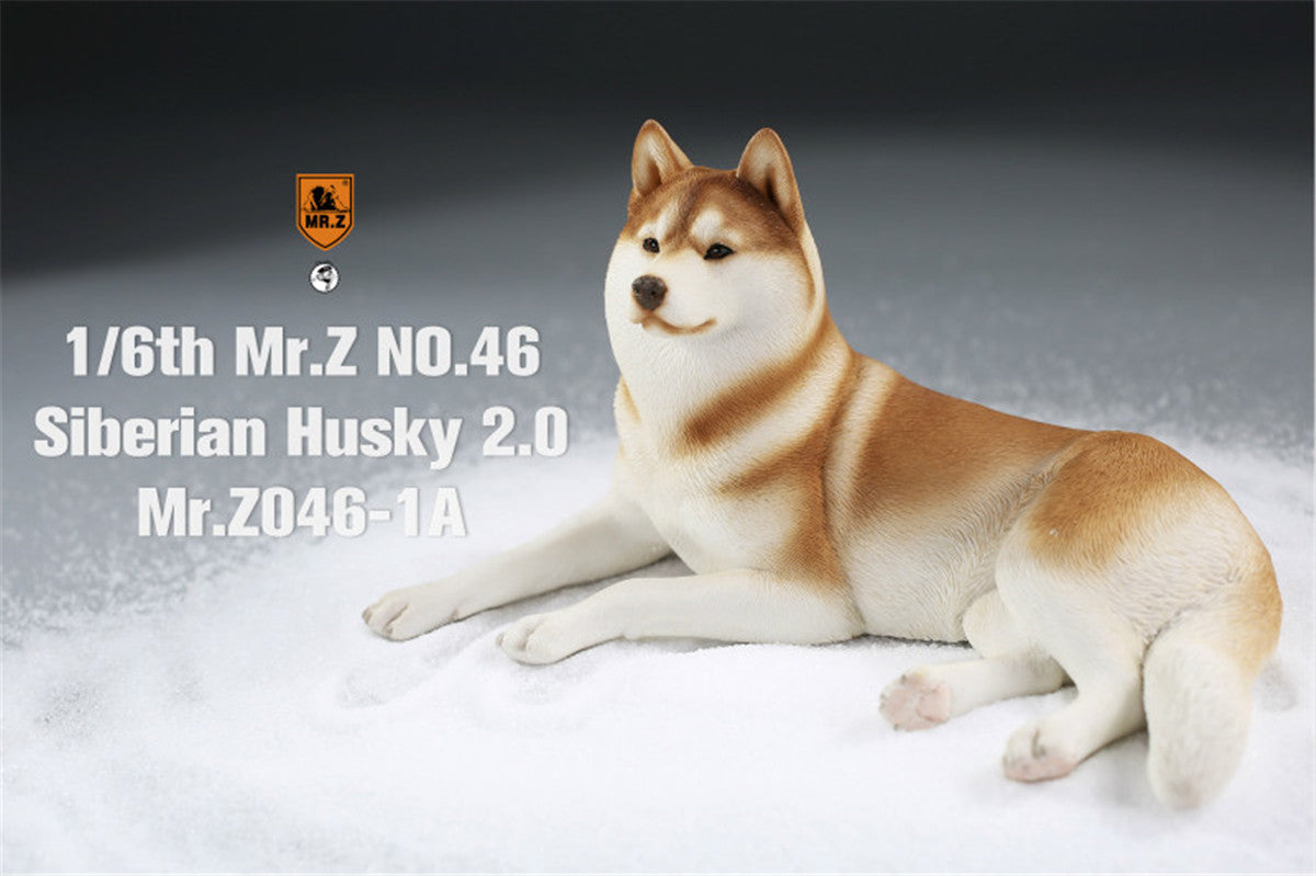 Mr.Z&JXK 1/6 Siberian Husky 2.0 Figure