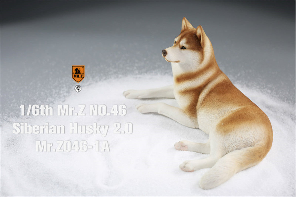 Mr.Z&JXK 1/6 Siberian Husky 2.0 Figure