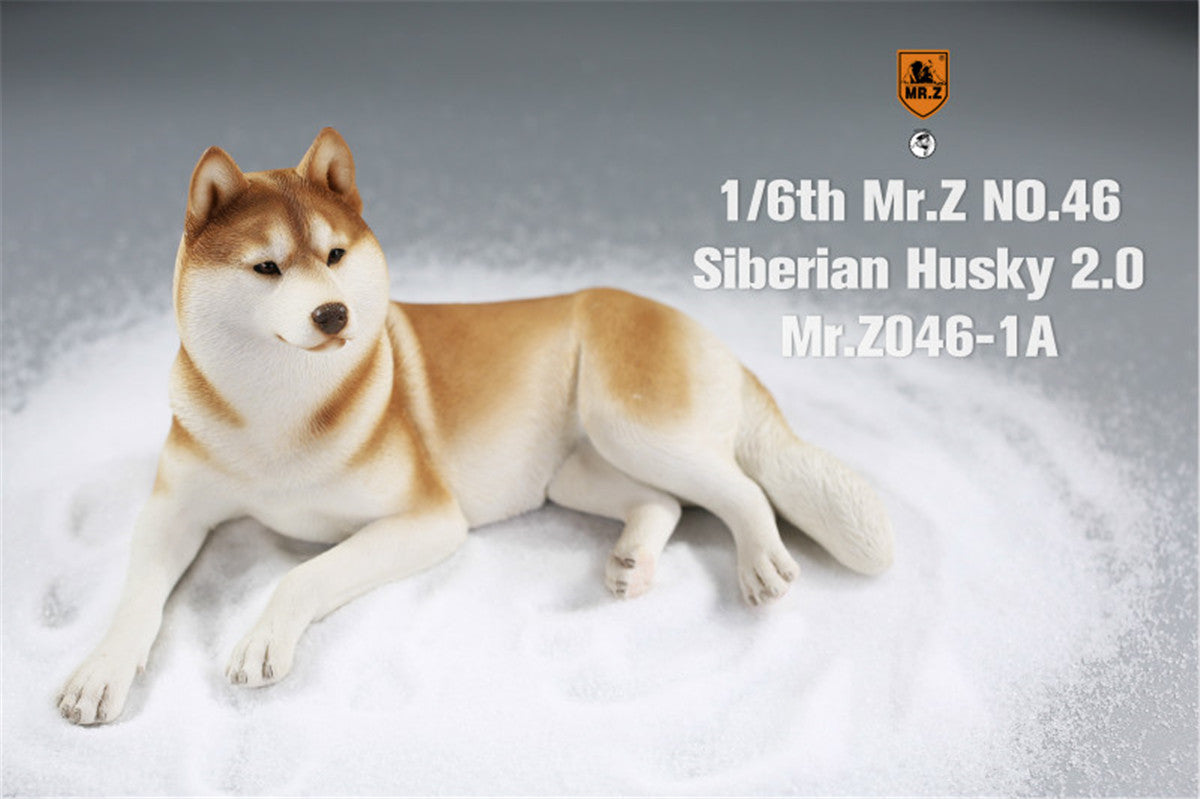 Mr.Z&JXK 1/6 Siberian Husky 2.0 Figure