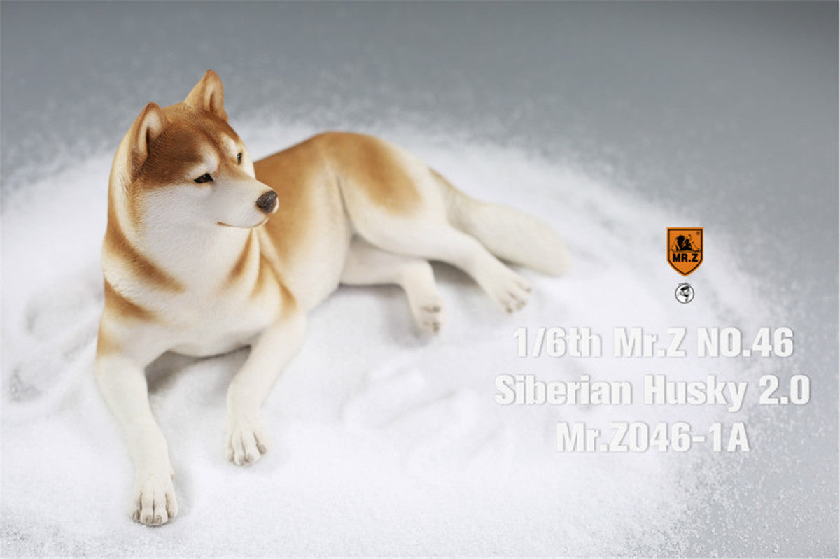 Mr.Z&JXK 1/6 Siberian Husky 2.0 Figure
