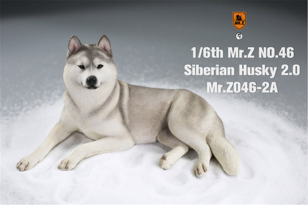 Mr.Z&JXK 1/6 Siberian Husky 2.0 Figure
