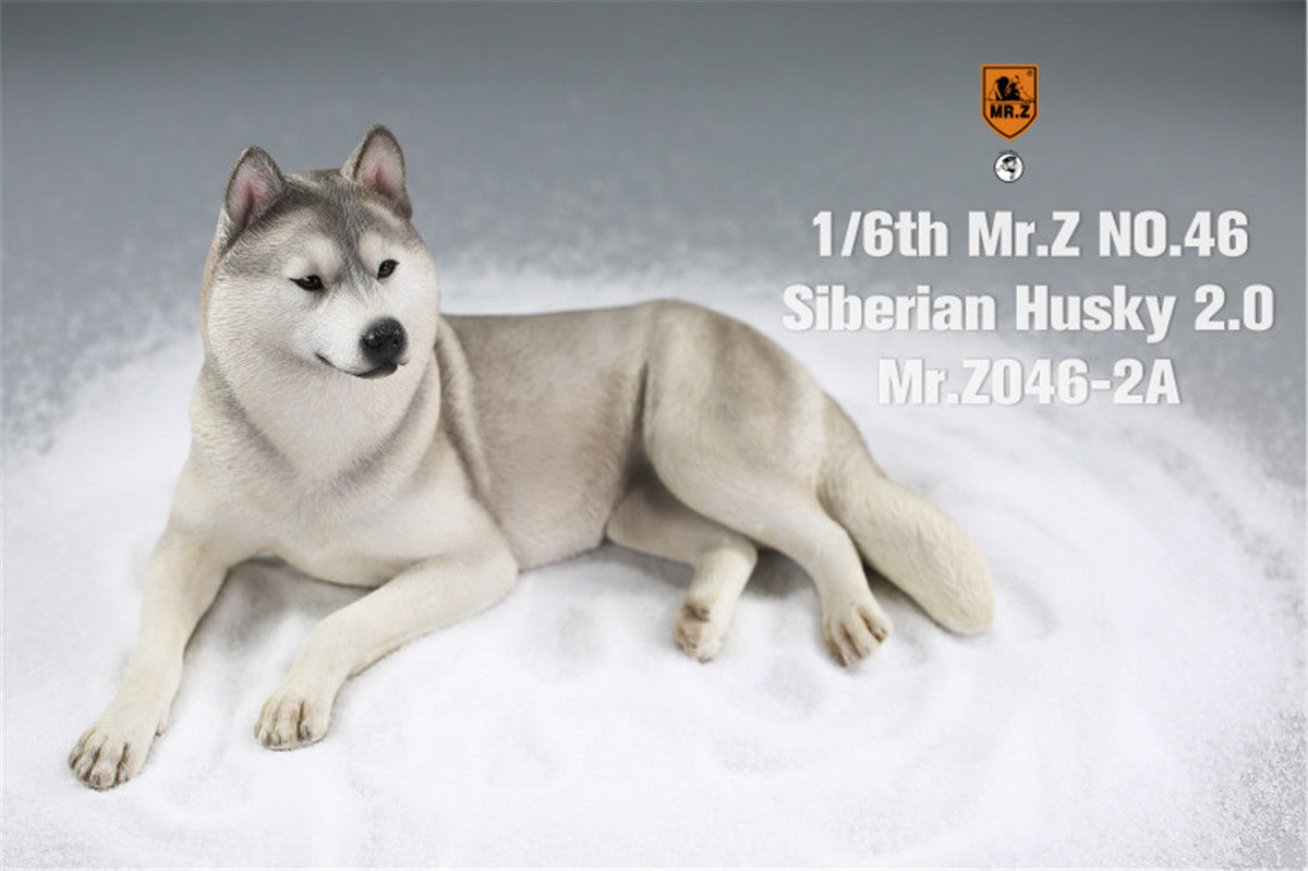 Mr.Z&JXK 1/6 Siberian Husky 2.0 Figure