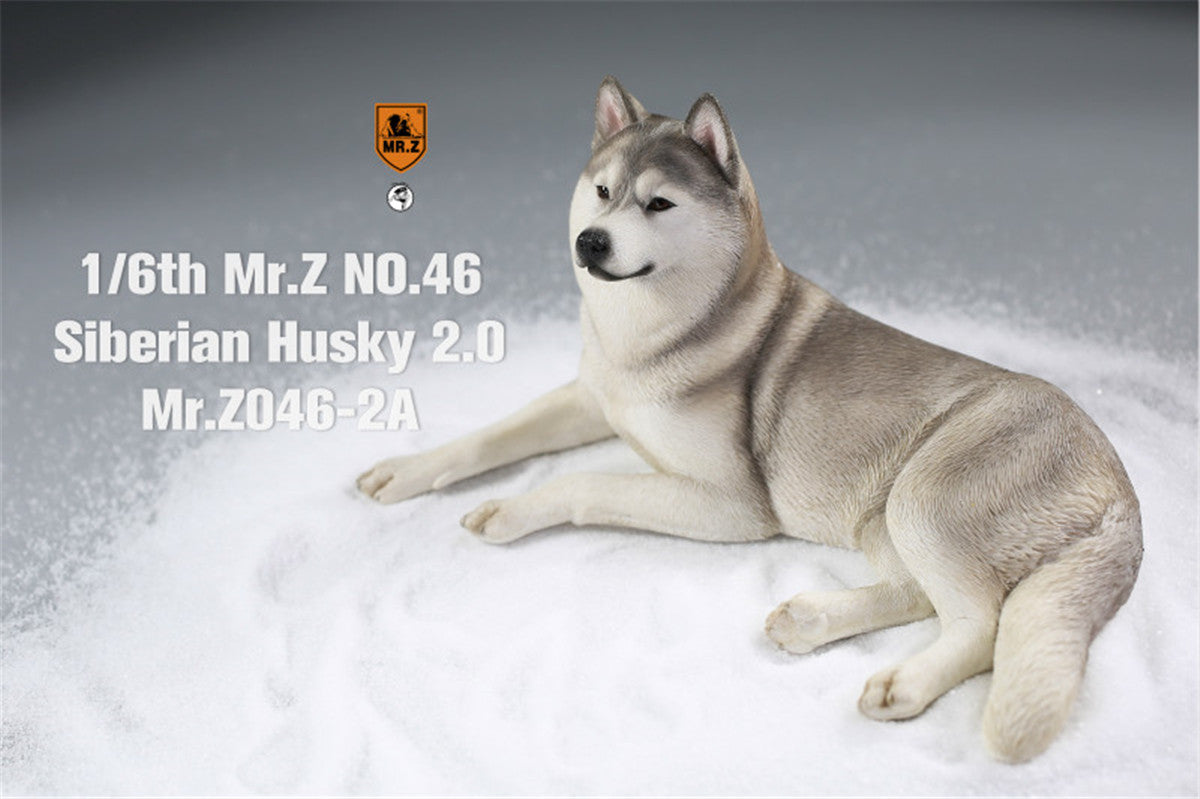 Mr.Z&JXK 1/6 Siberian Husky 2.0 Figure
