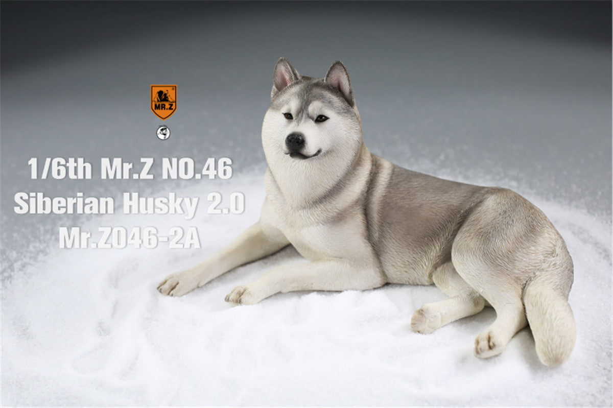 Mr.Z&JXK 1/6 Siberian Husky 2.0 Figure