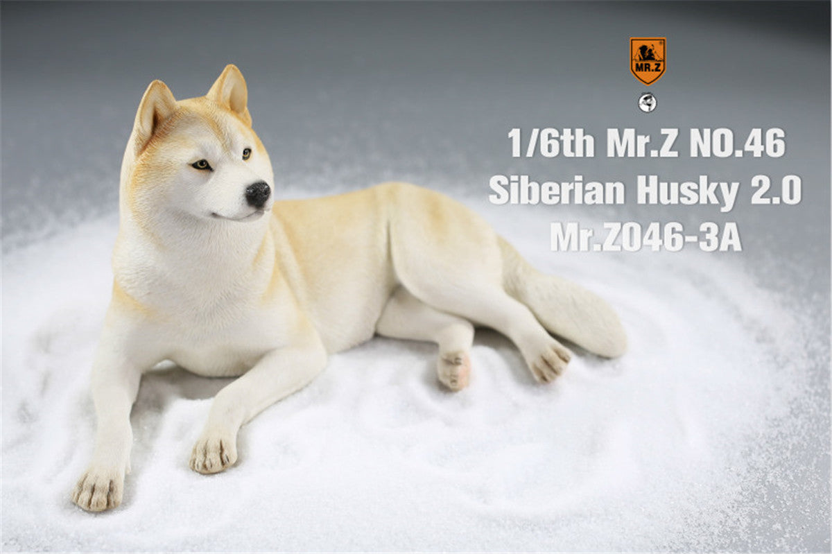Mr.Z&JXK 1/6 Siberian Husky 2.0 Figure