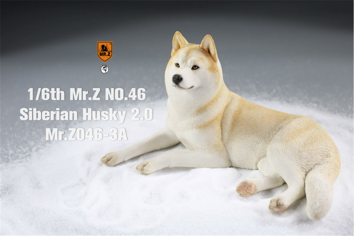 Mr.Z&JXK 1/6 Siberian Husky 2.0 Figure