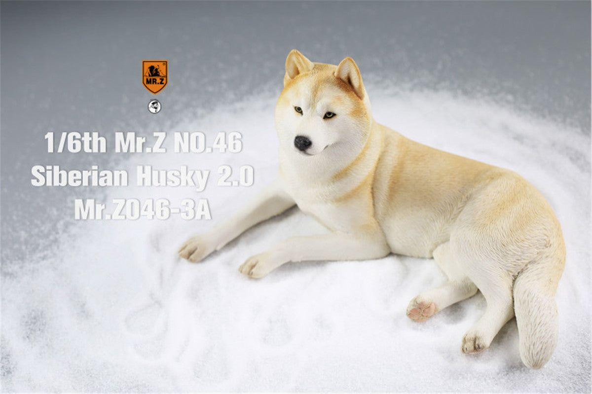 Mr.Z&JXK 1/6 Siberian Husky 2.0 Figure