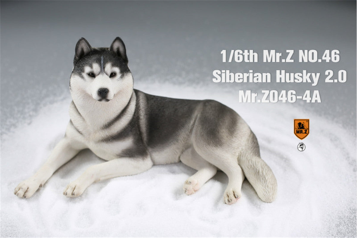 Mr.Z&JXK 1/6 Siberian Husky 2.0 Figure
