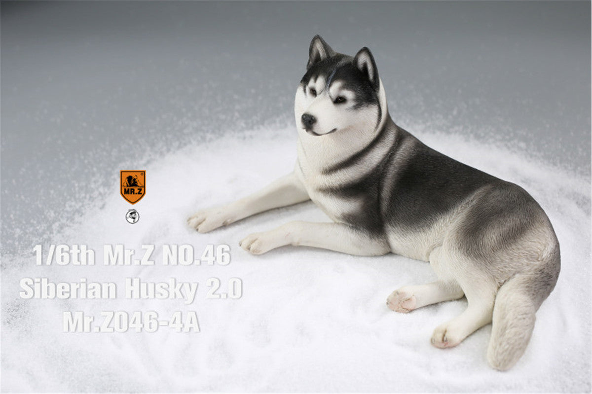 Mr.Z&JXK 1/6 Siberian Husky 2.0 Figure