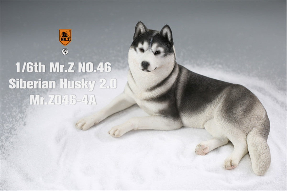 Mr.Z&JXK 1/6 Siberian Husky 2.0 Figure