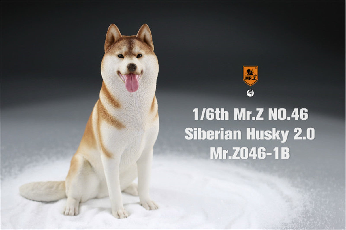 Mr.Z&JXK 1/6 Siberian Husky 2.0 Figure