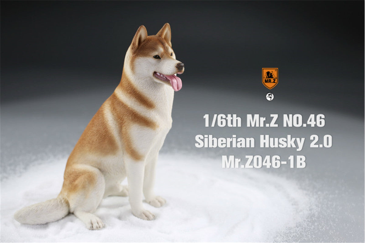 Mr.Z&JXK 1/6 Siberian Husky 2.0 Figure