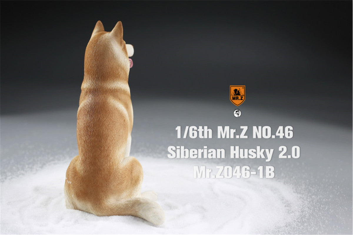 Mr.Z&JXK 1/6 Siberian Husky 2.0 Figure