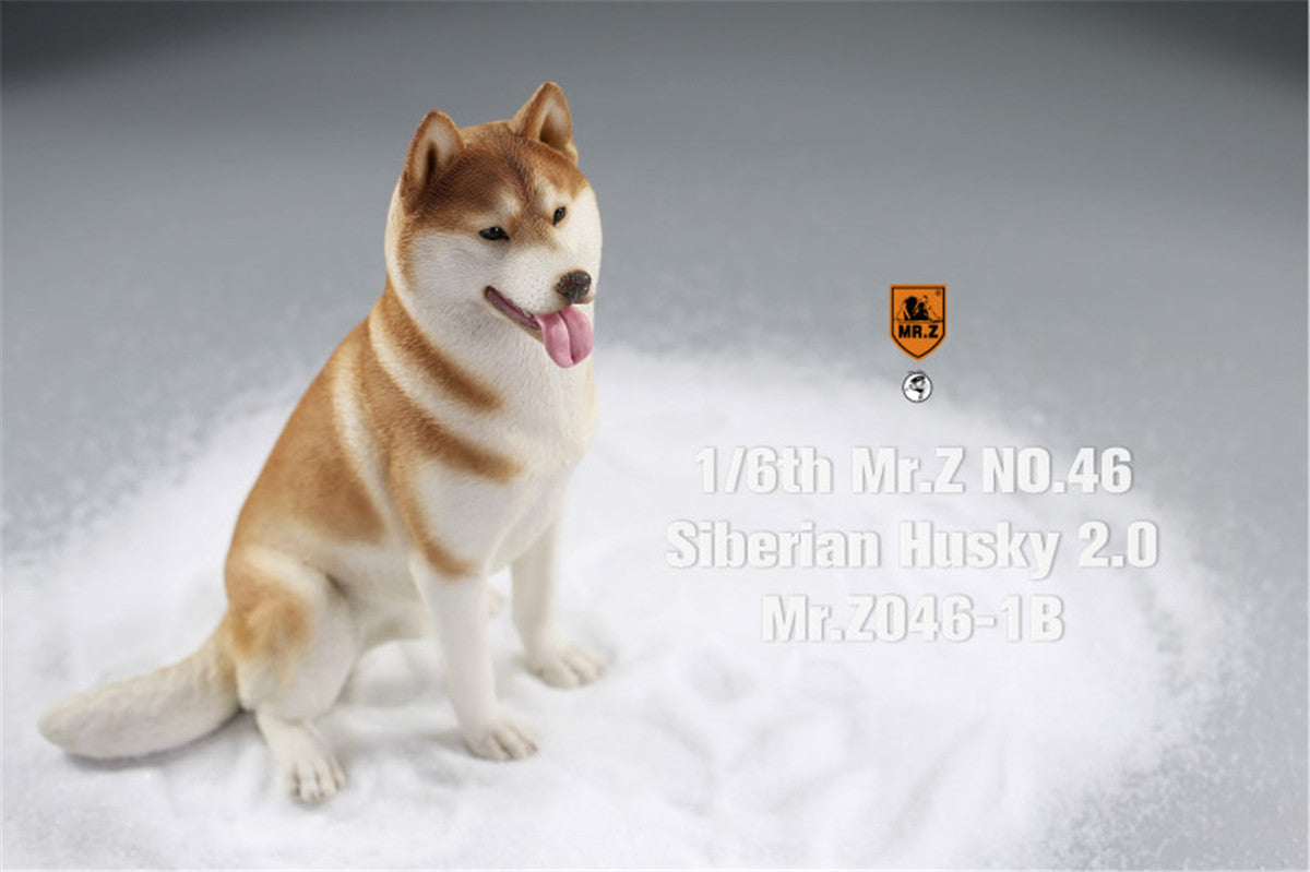 Mr.Z&JXK 1/6 Siberian Husky 2.0 Figure