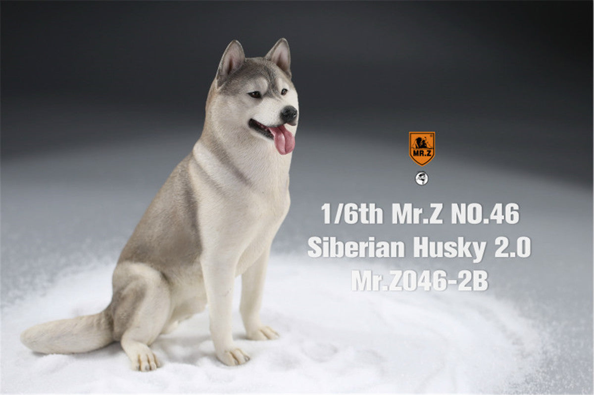 Mr.Z&JXK 1/6 Siberian Husky 2.0 Figure