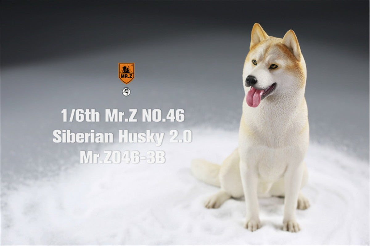 Mr.Z&JXK 1/6 Siberian Husky 2.0 Figure