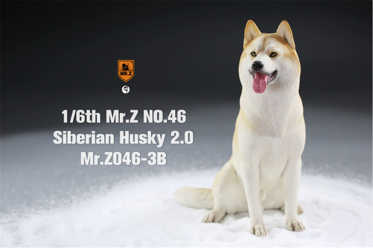 Mr.Z&JXK 1/6 Siberian Husky 2.0 Figure