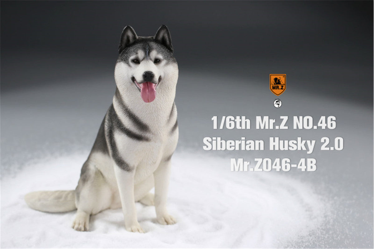 Mr.Z&JXK 1/6 Siberian Husky 2.0 Figure