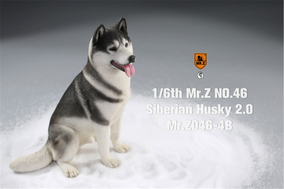 Mr.Z&JXK 1/6 Siberian Husky 2.0 Figure