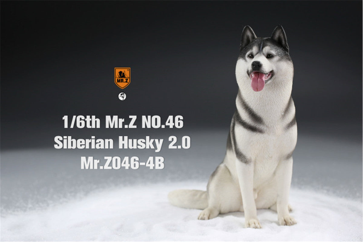 Mr.Z&JXK 1/6 Siberian Husky 2.0 Figure