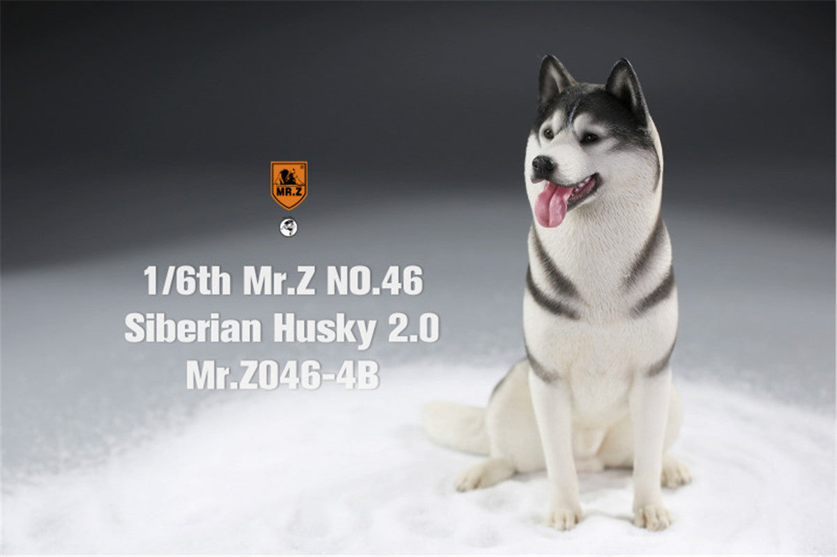 Mr.Z&JXK 1/6 Siberian Husky 2.0 Figure