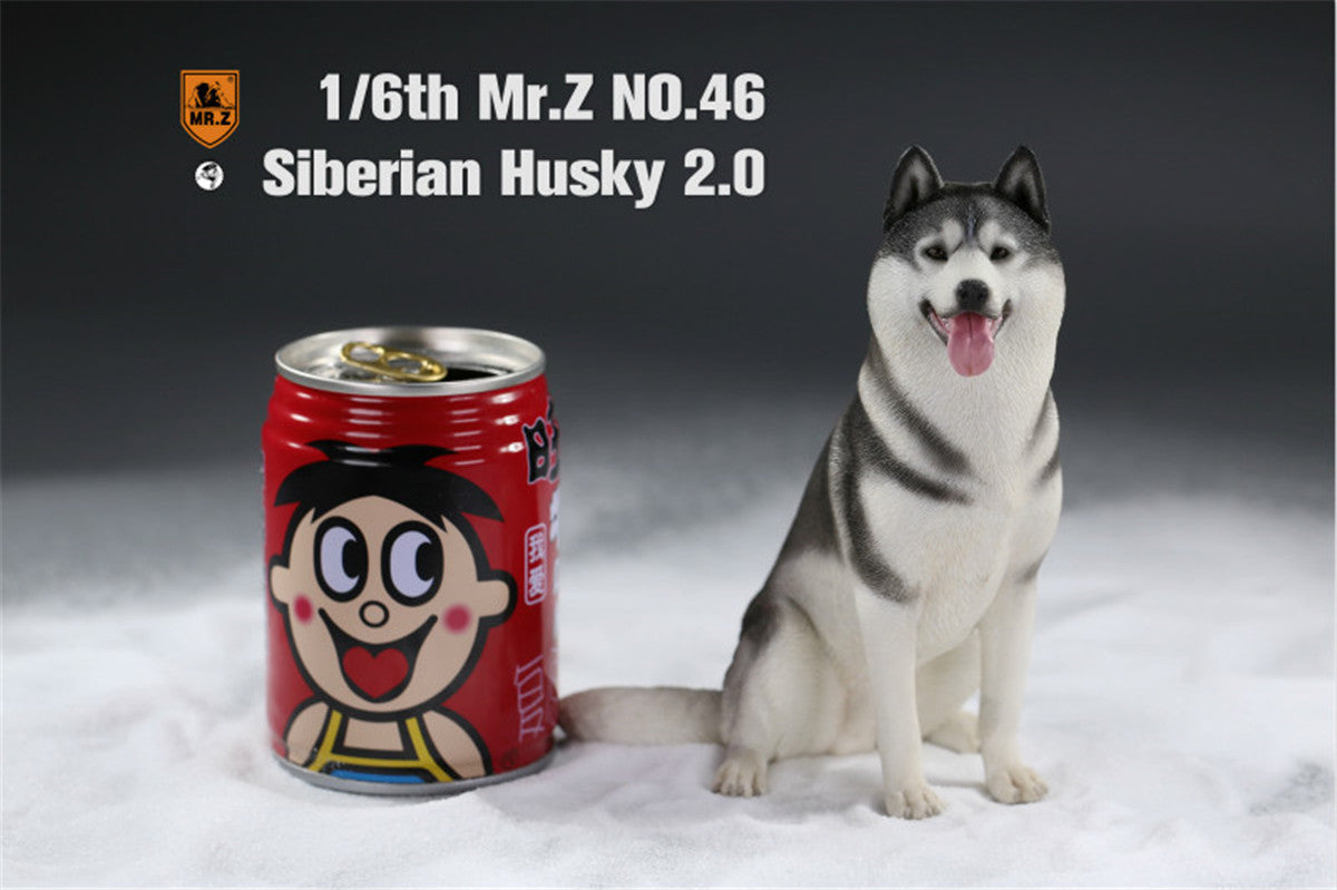 Mr.Z&JXK 1/6 Siberian Husky 2.0 Figure