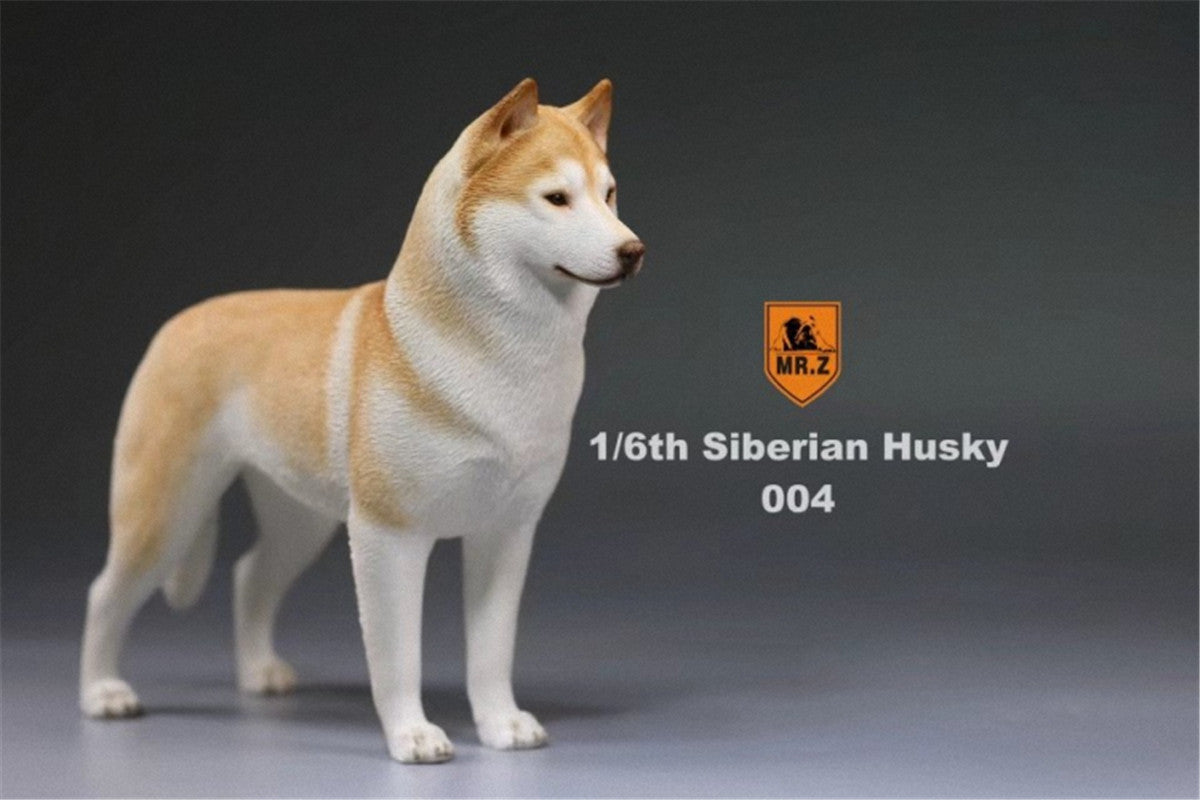Mr.Z 1/6 Siberian Husky Figure