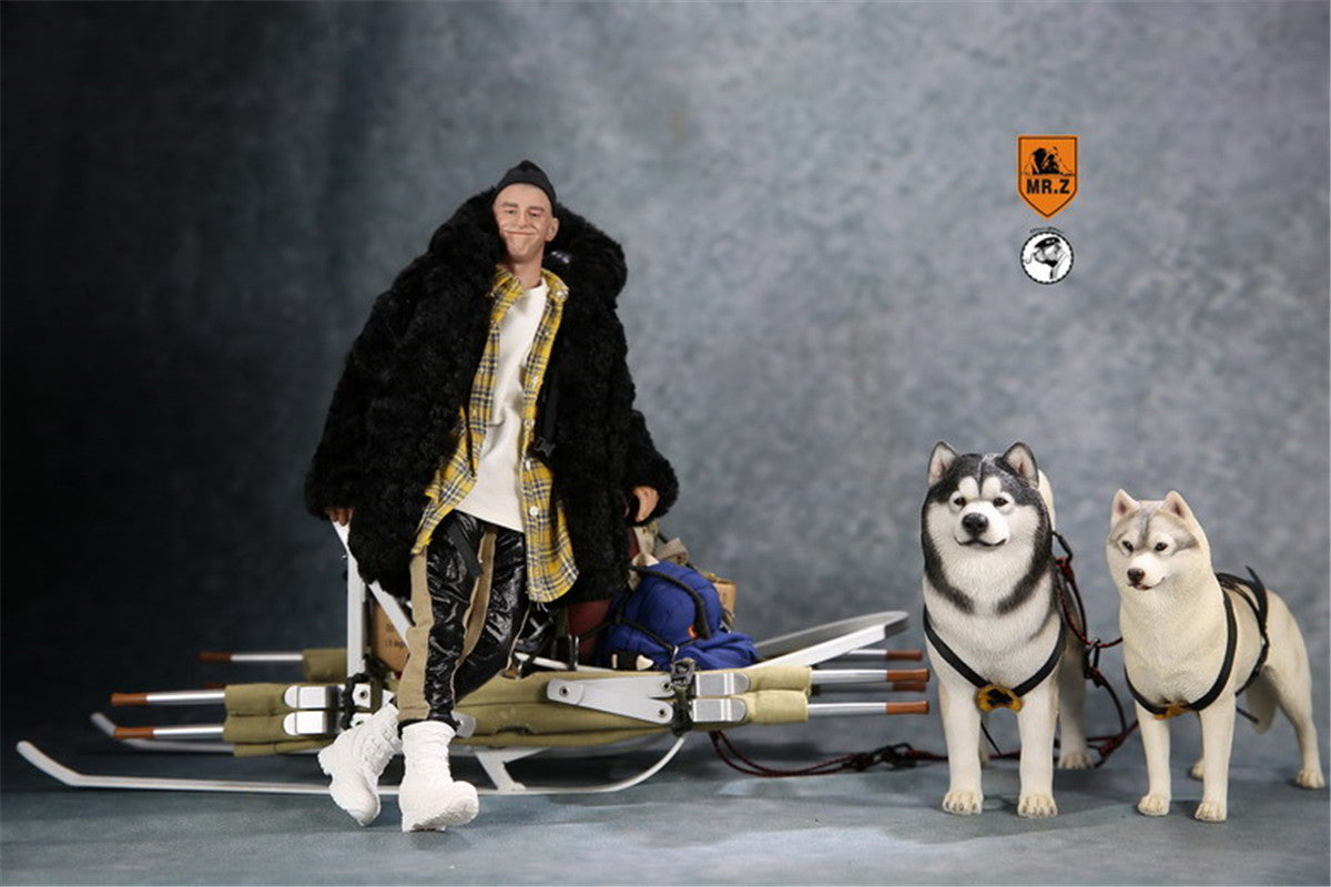 Mr.Z 1/6th Alaskan Malamute Figure