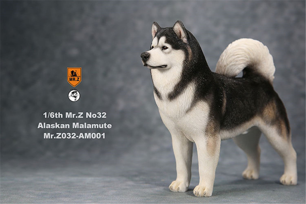 Mr.Z 1/6th Alaskan Malamute Figure
