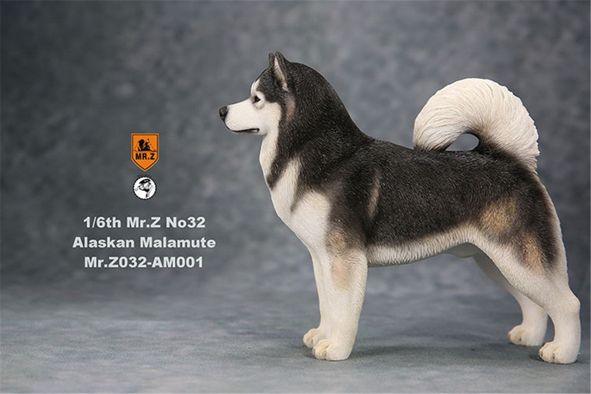 Mr.Z 1/6th Alaskan Malamute Figure