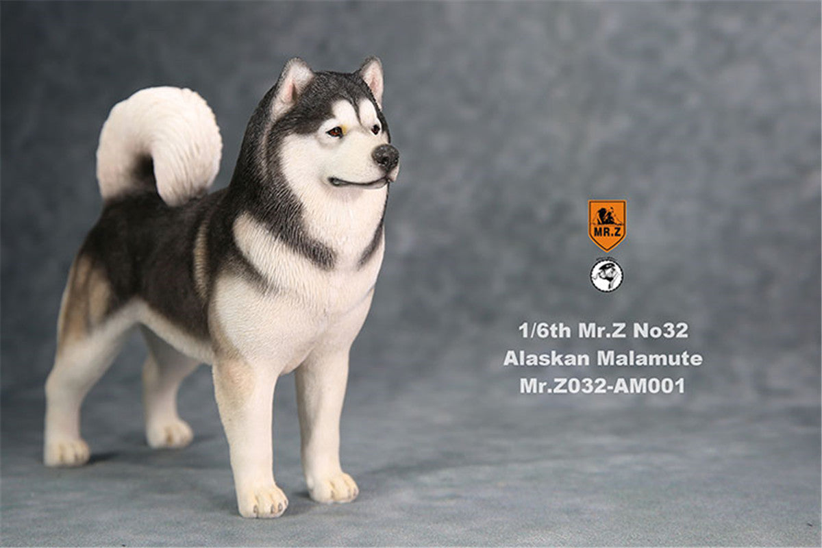 Mr.Z 1/6th Alaskan Malamute Figure