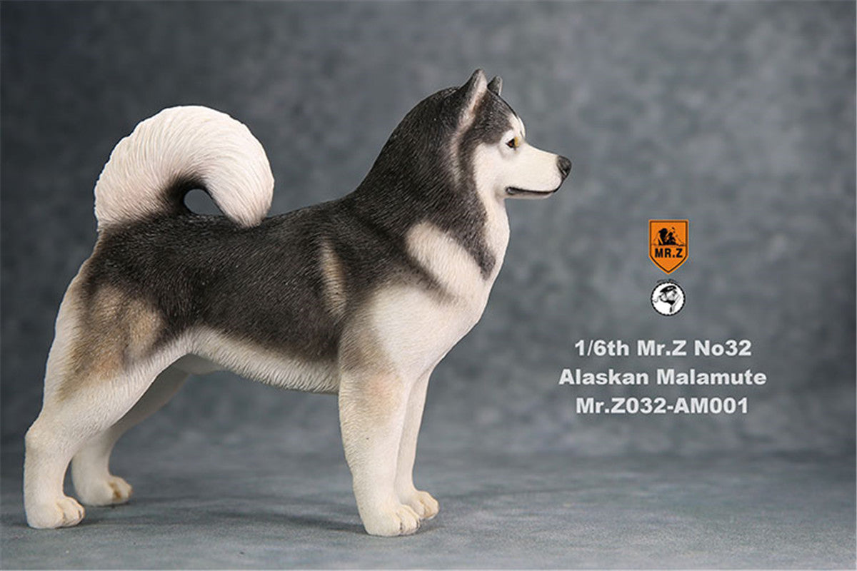 Mr.Z 1/6th Alaskan Malamute Figure