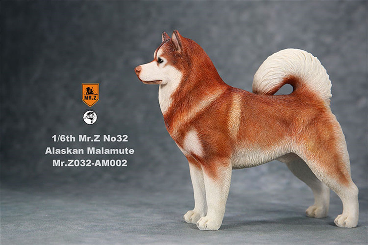 Mr.Z 1/6th Alaskan Malamute Figure