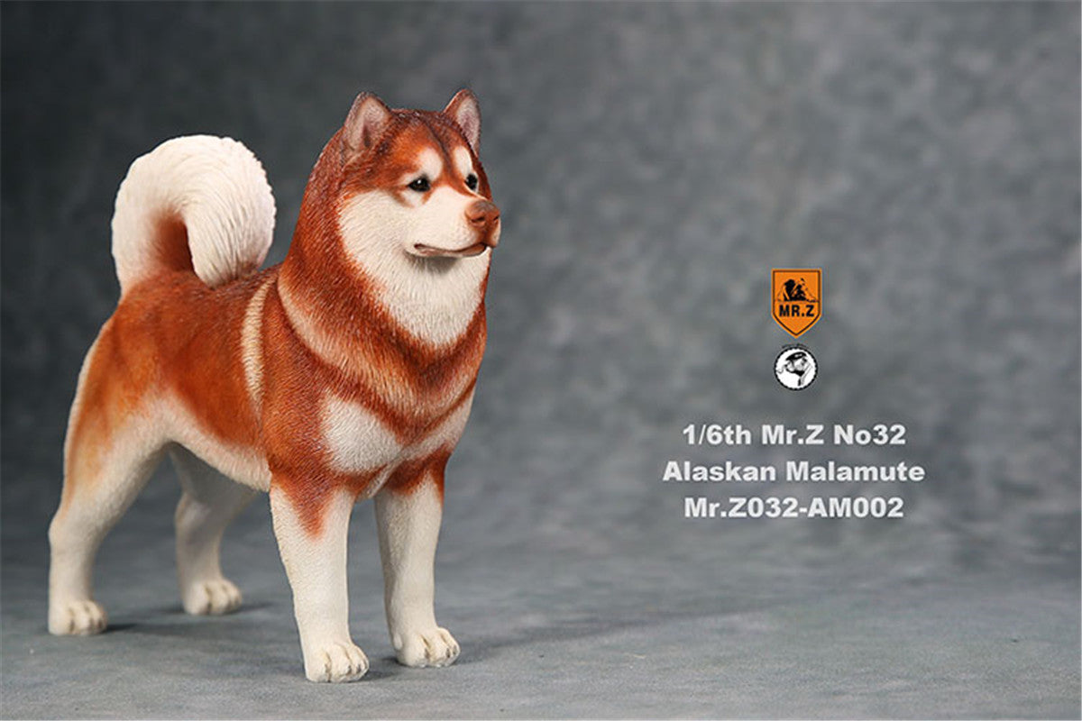 Mr.Z 1/6th Alaskan Malamute Figure