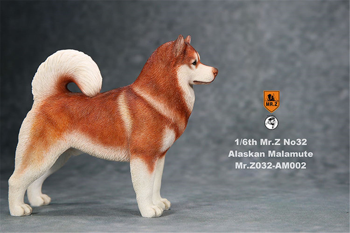 Mr.Z 1/6th Alaskan Malamute Figure