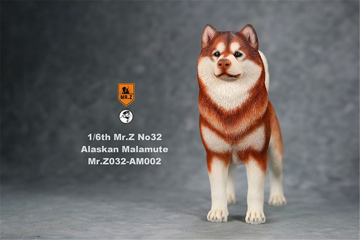 Mr.Z 1/6th Alaskan Malamute Figure