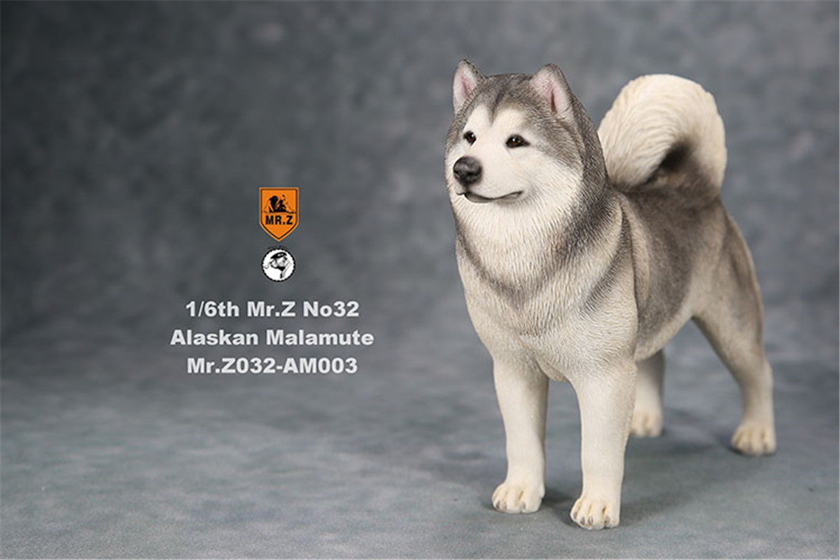 Mr.Z 1/6th Alaskan Malamute Figure