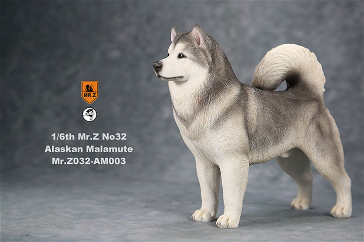 Mr.Z 1/6th Alaskan Malamute Figure
