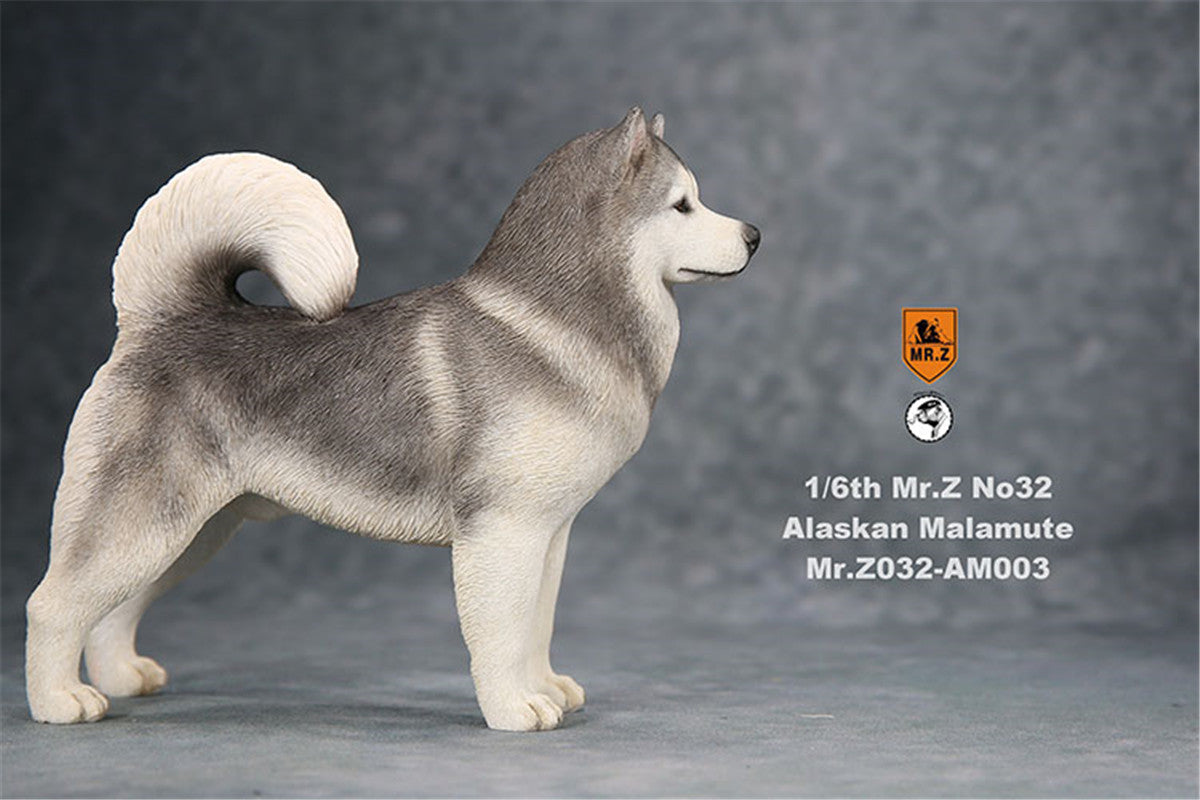 Mr.Z 1/6th Alaskan Malamute Figure