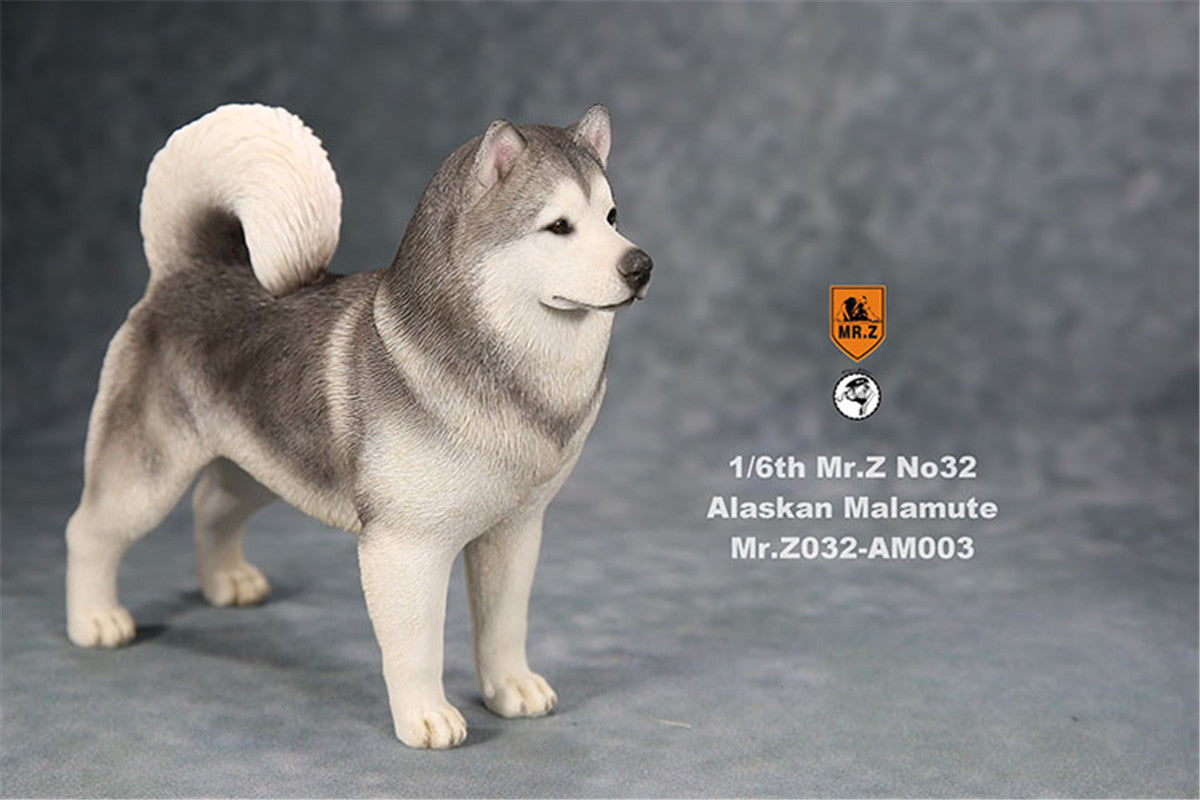 Mr.Z 1/6th Alaskan Malamute Figure
