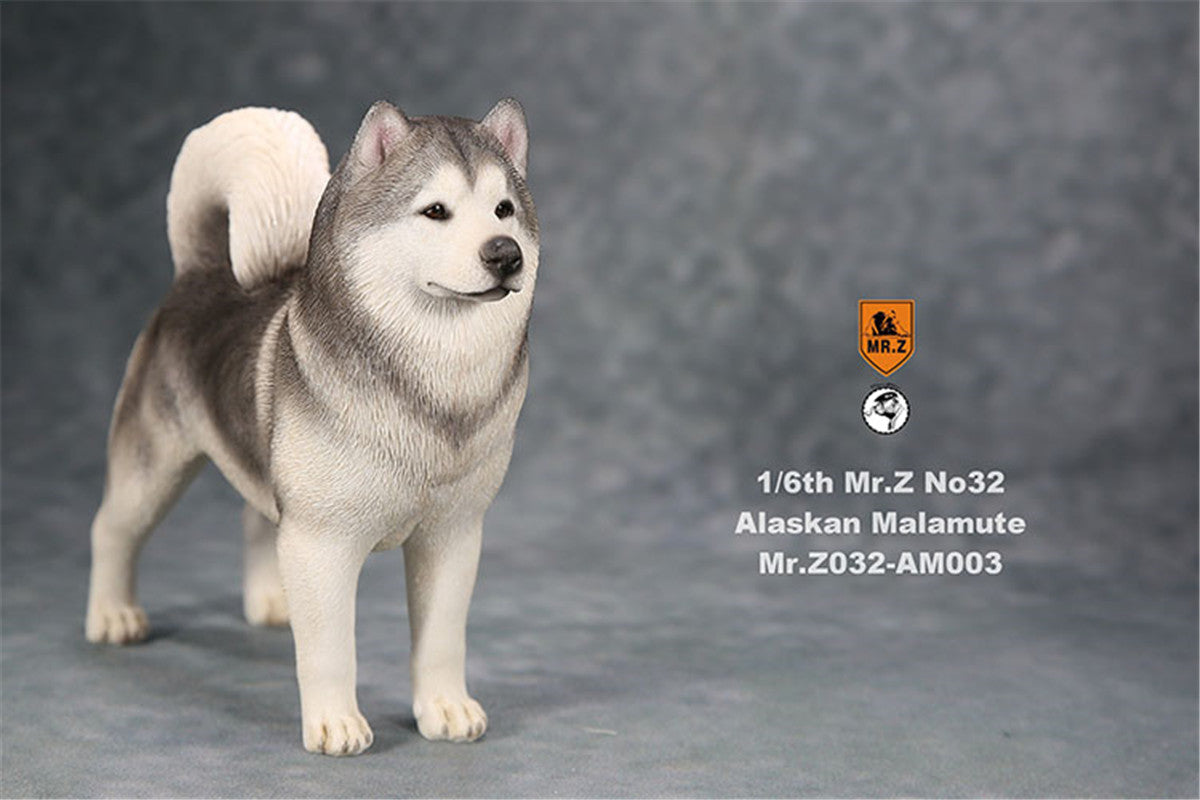 Mr.Z 1/6th Alaskan Malamute Figure