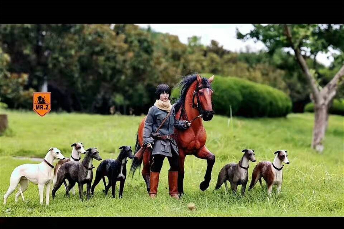 Mr.Z 1/6 Greyhound Dog Figure