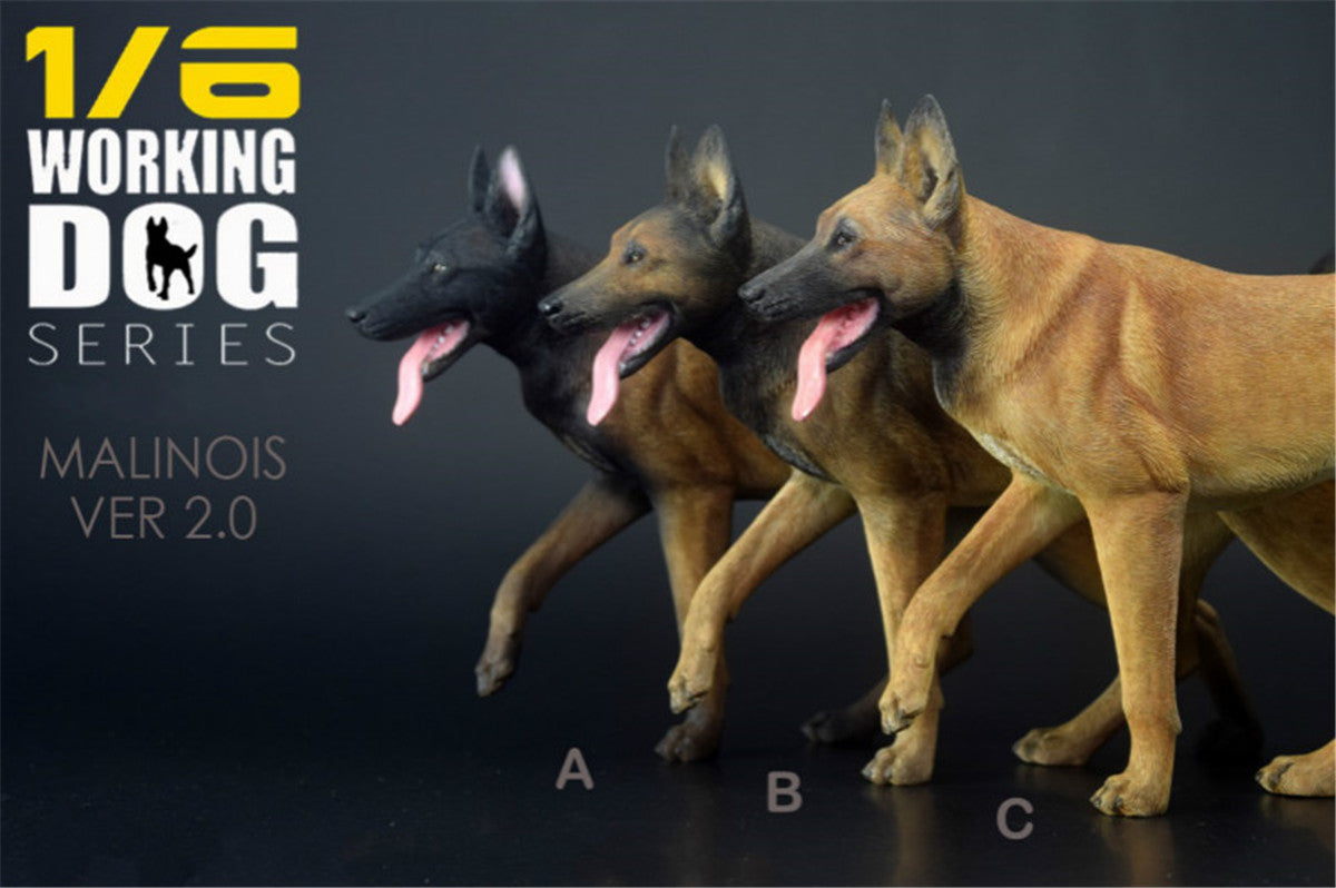 1/6 Working Belgian Malinois Figure