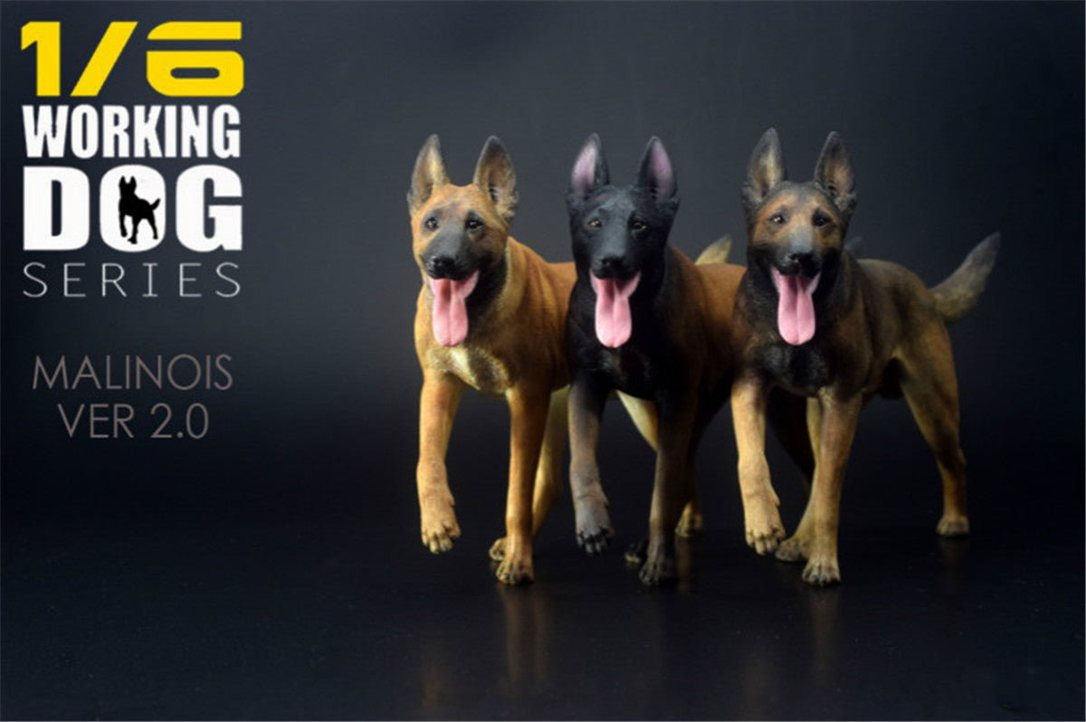 1/6 Working Belgian Malinois Figure