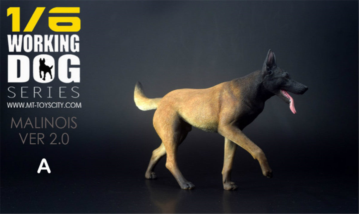 1/6 Working Belgian Malinois Figure