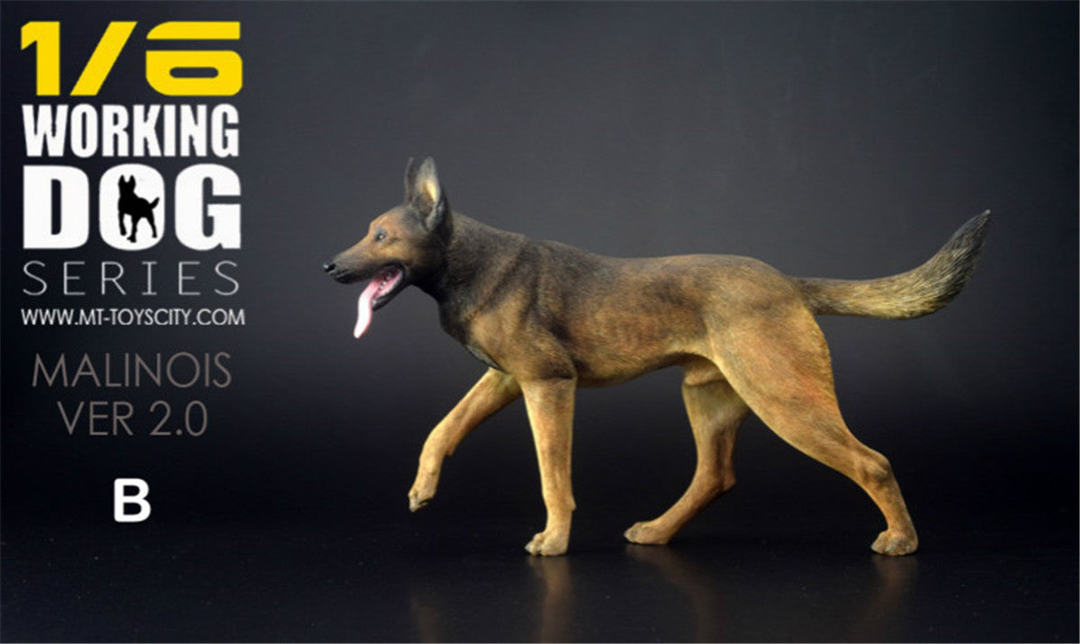 1/6 Working Belgian Malinois Figure
