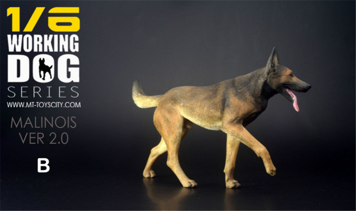 1/6 Working Belgian Malinois Figure