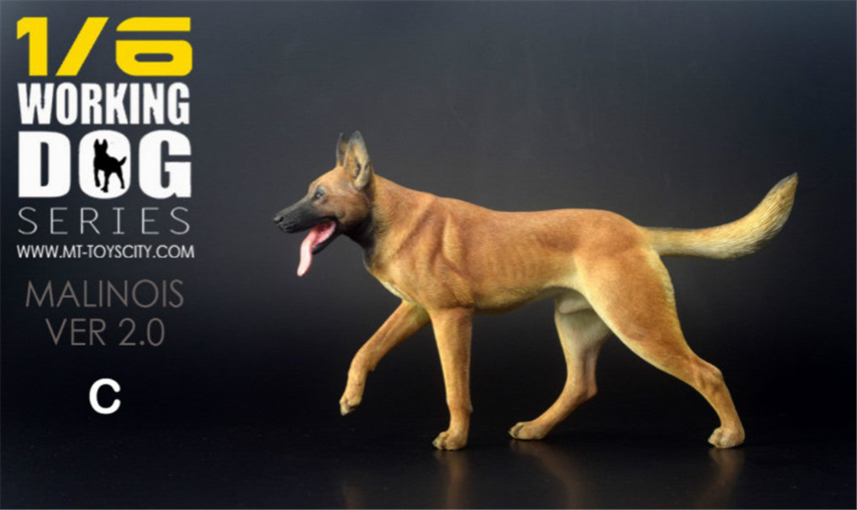 1/6 Working Belgian Malinois Figure