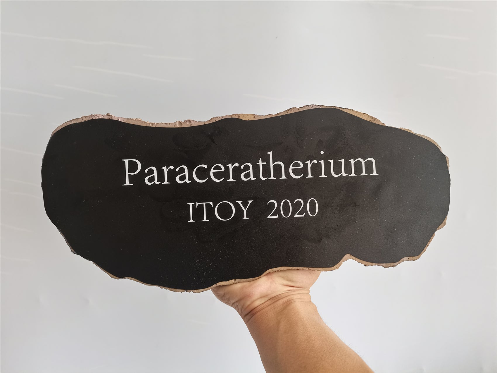ITOY 1/35 Paraceratherium Statue