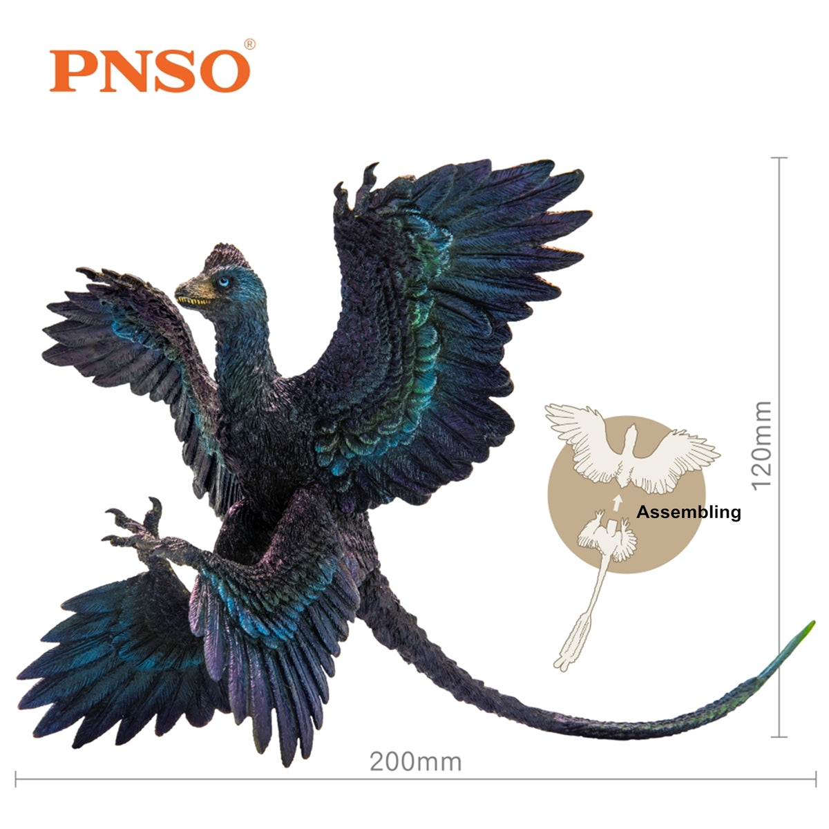 PNSO Microraptor Model